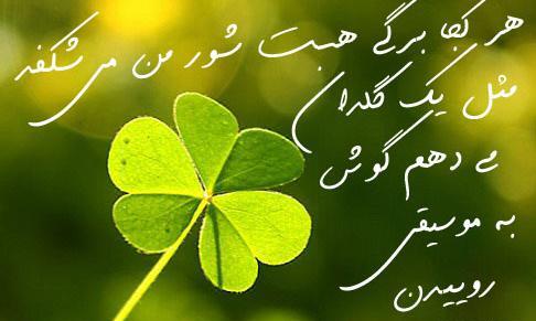 عکس نوشته کوتاه در مورد گل
