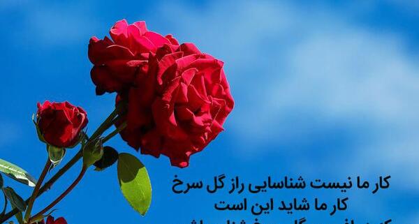 عکس نوشته کوتاه در مورد گل
