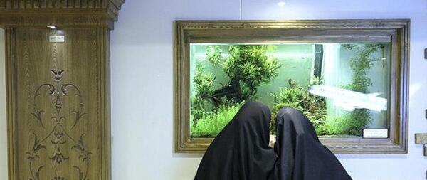 عکس خودکشی از پل عابر پیاده