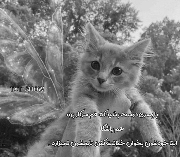 فهمیدن دانلود عکس پروفایل اینستاگرام