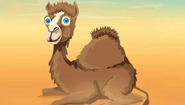 عکس نوشته اعتماد بنفس