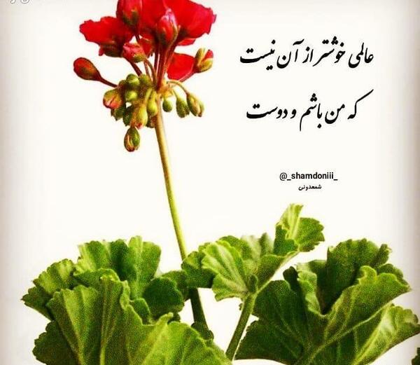 عکس نوشته شعر و