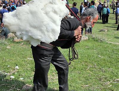 عکس برف چال