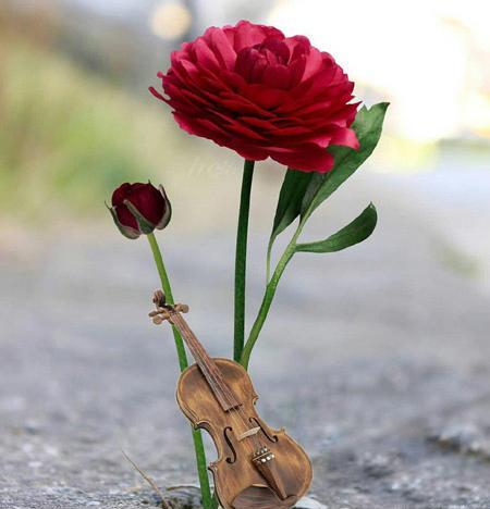 عکس نوشته در مورد زندگی زیباست