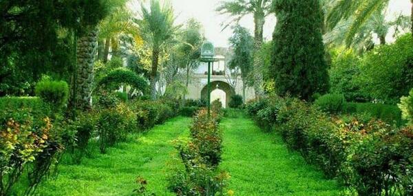 عکس باغ کویر