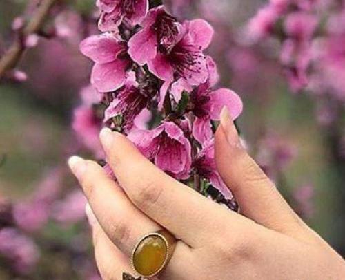 عکس نوشته دلم گرفته هوای گریه داره