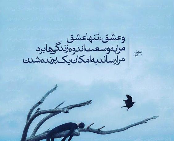 عکس نوشته شعر سهراب سپهری