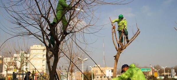 عکس برف زمستانه