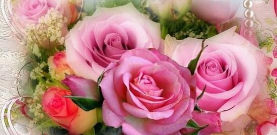 عکس نوشته گل برای وضعیت واتساپ