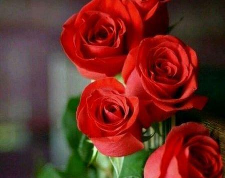 عکس نوشته گل برای وضعیت واتساپ