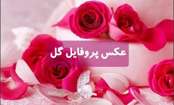 عکس نوشته گل برای وضعیت واتساپ