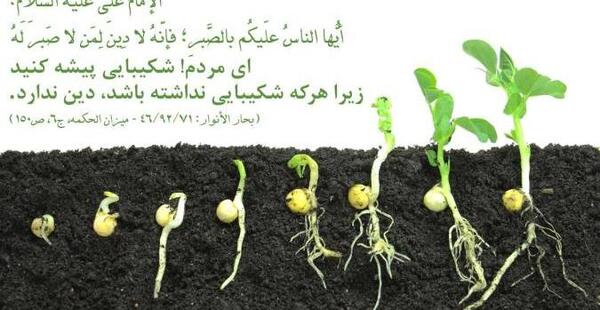 عکس نوشته صبر و شکیبایی