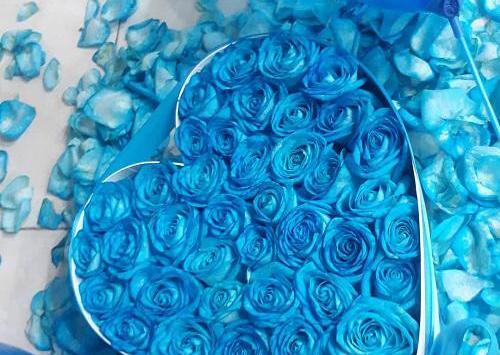 عکس گل طبیعی کادو