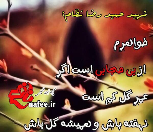 عکس نوشته شهدا در مورد حجاب