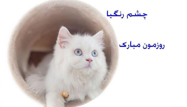 عکس نوشته چشم رنگیا روزتون مبارک