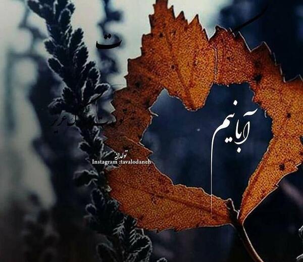 عکس نوشته رفیق ابان ماهی تولدت مبارک