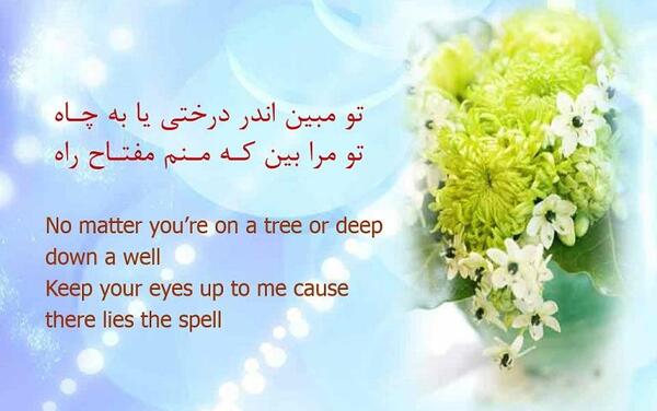 عکس نوشته تو مبین اندر درختی یا به چاه