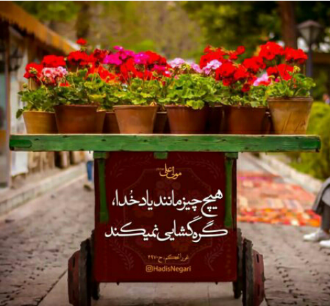 عکس نوشته تو مبین اندر درختی یا به چاه