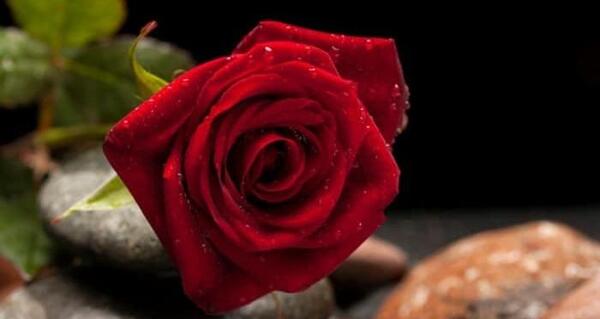 عکس نوشته سلام خسته نباشی