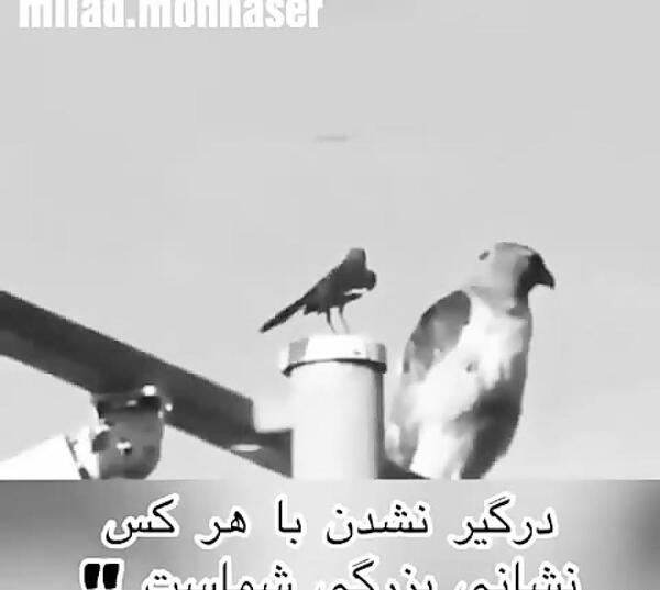 عکس نوشته پروفایل جواب ابلهان خاموشیست