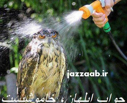 عکس نوشته پروفایل جواب ابلهان خاموشیست