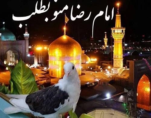 عکس نوشته امام رضا بطلب