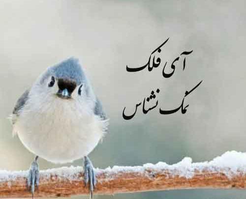 عکس نوشته ای فلک ثابت اله هانسی گونوم خوش کشتی