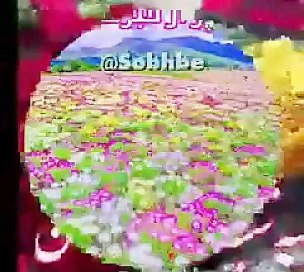 عکس نوشته صبح بخیر سه شنبه