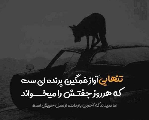 عکس نوشته تنهایی پسرانه