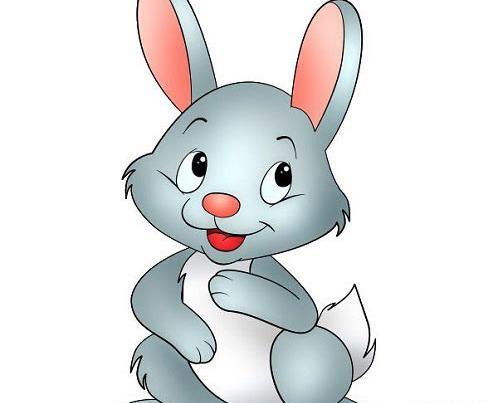 عکس خرگوش باهوش