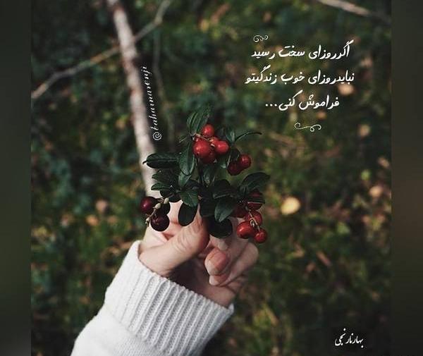 عکس نوشته پروفایل شیک