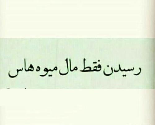 عکس نوشته چرا بهم خیانت کردی
