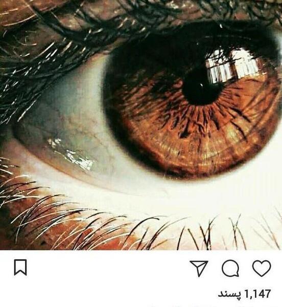 عکس نوشته چشم قهوه ای سوخته