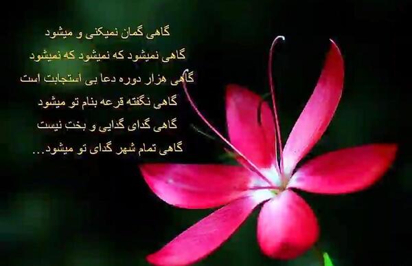 عکس نوشته گاهی گمان میکنی و نمی شود