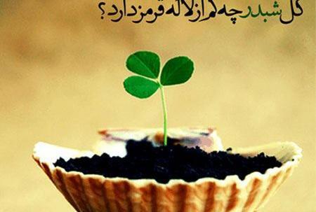 عکس نوشته های کوتاه فلسفی