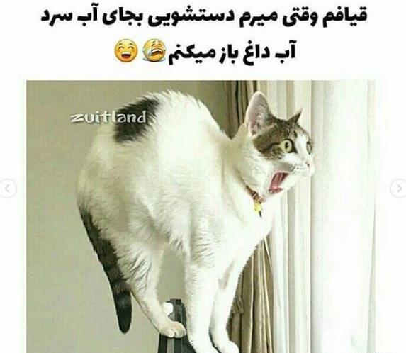 عکس نوشته طنز من