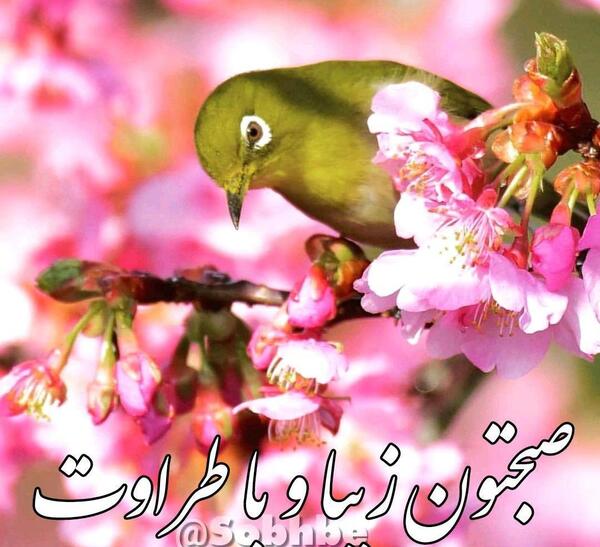 عکس نوشته صبح بخیر و دعای خیر