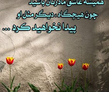 عکس نوشته فلسفی خانواده