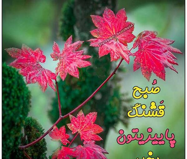عکس نوشته سلام صبح پاییزیتون بخیر