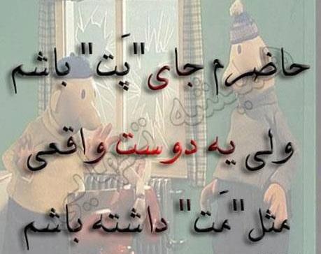 عکس نوشته قلبم مثل قبرم