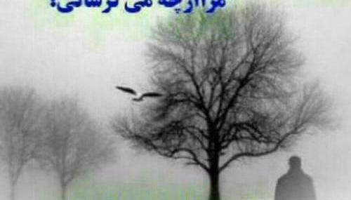 عکس نوشته در طوفان زندگی