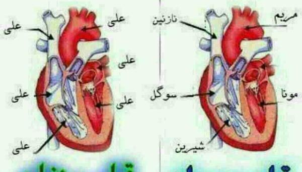 عکس نوشته کاش قلبها در چهره بود