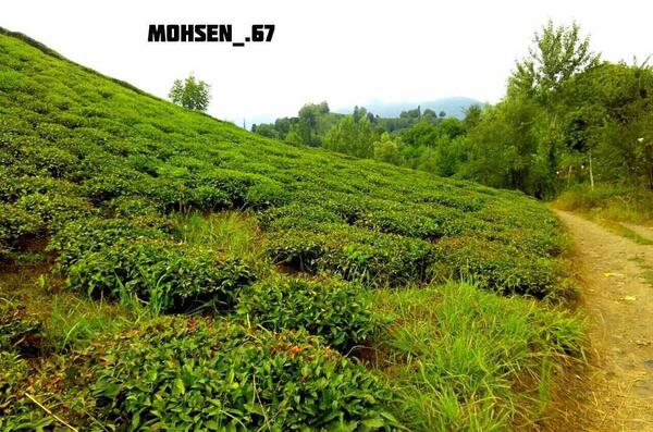 عکس نوشته کاش یه مغازه بود