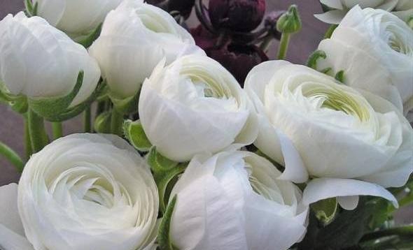 عکس ایده برای هدیه روز ولنتاین