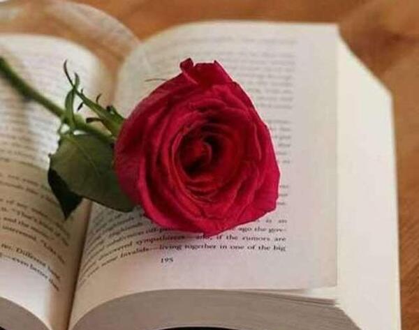 عکس نوشته گل و کتاب
