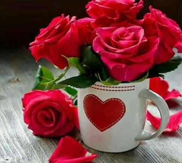 عکس نوشته گل و کتاب