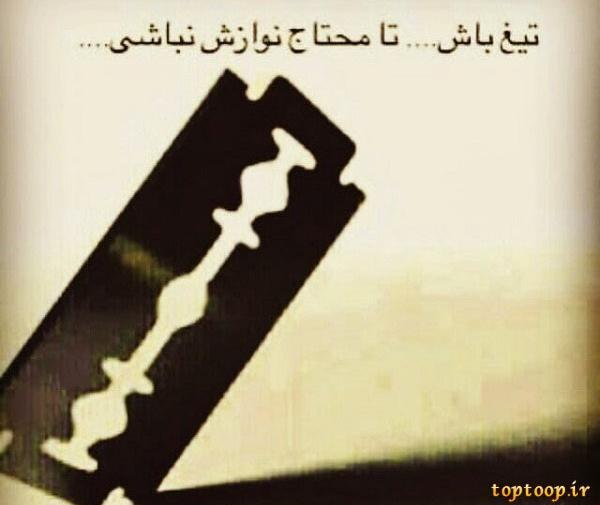 عکس نوشته شاخ نیستم چون گاو نیستم