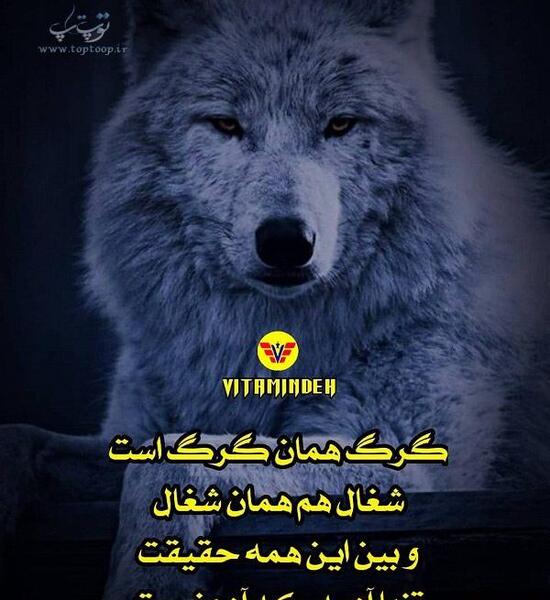 عکس نوشته من هنوز همون گرگم