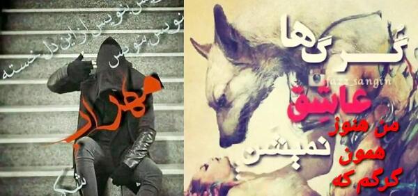عکس نوشته من هنوز همون گرگم