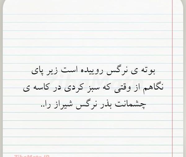 عکس نوشته در زندگی زخمهایی هست